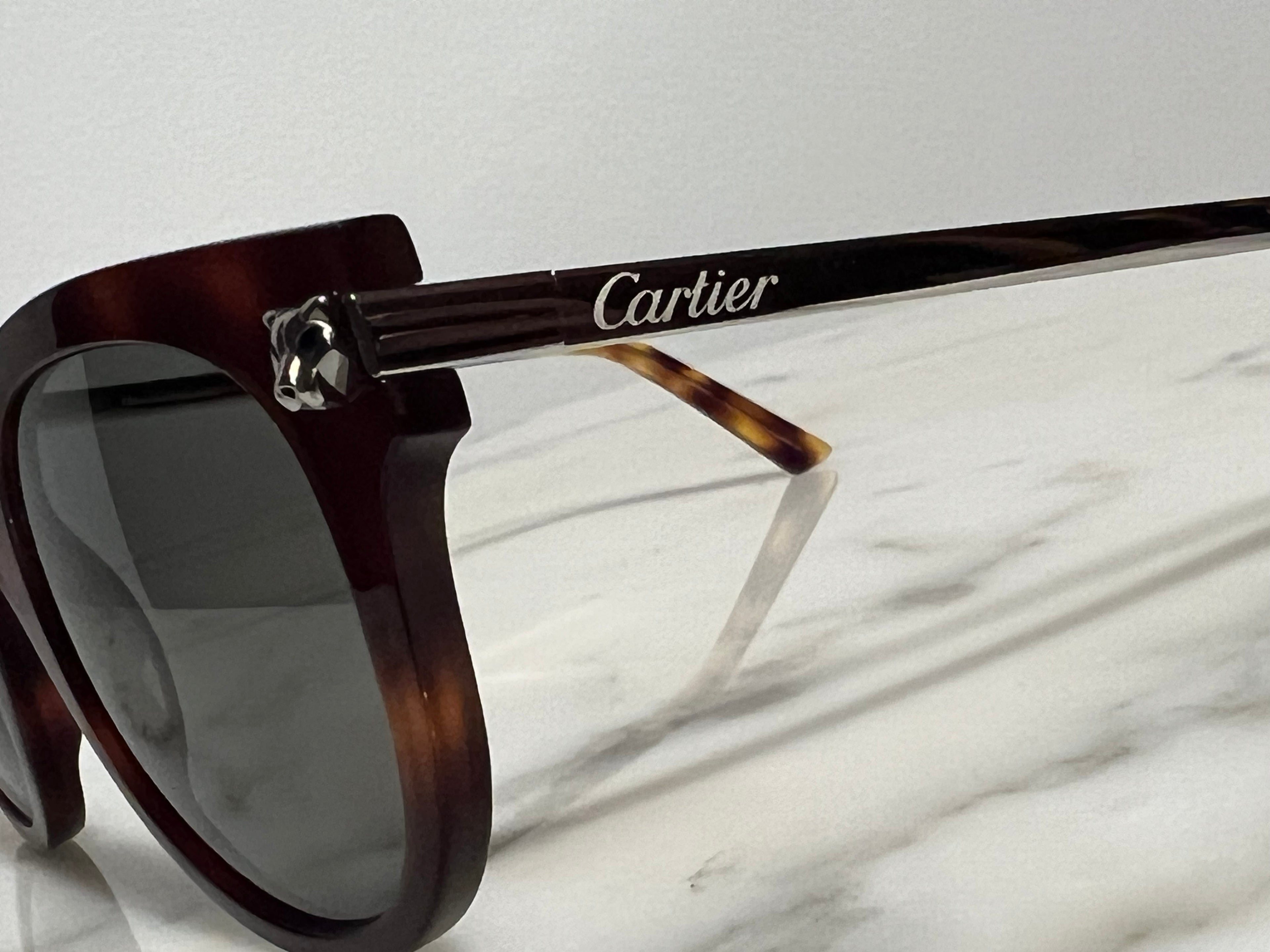 Cartier Santos Titanium Silver Gold C’decor Frames Sunglasses Glasses Wire Buffs