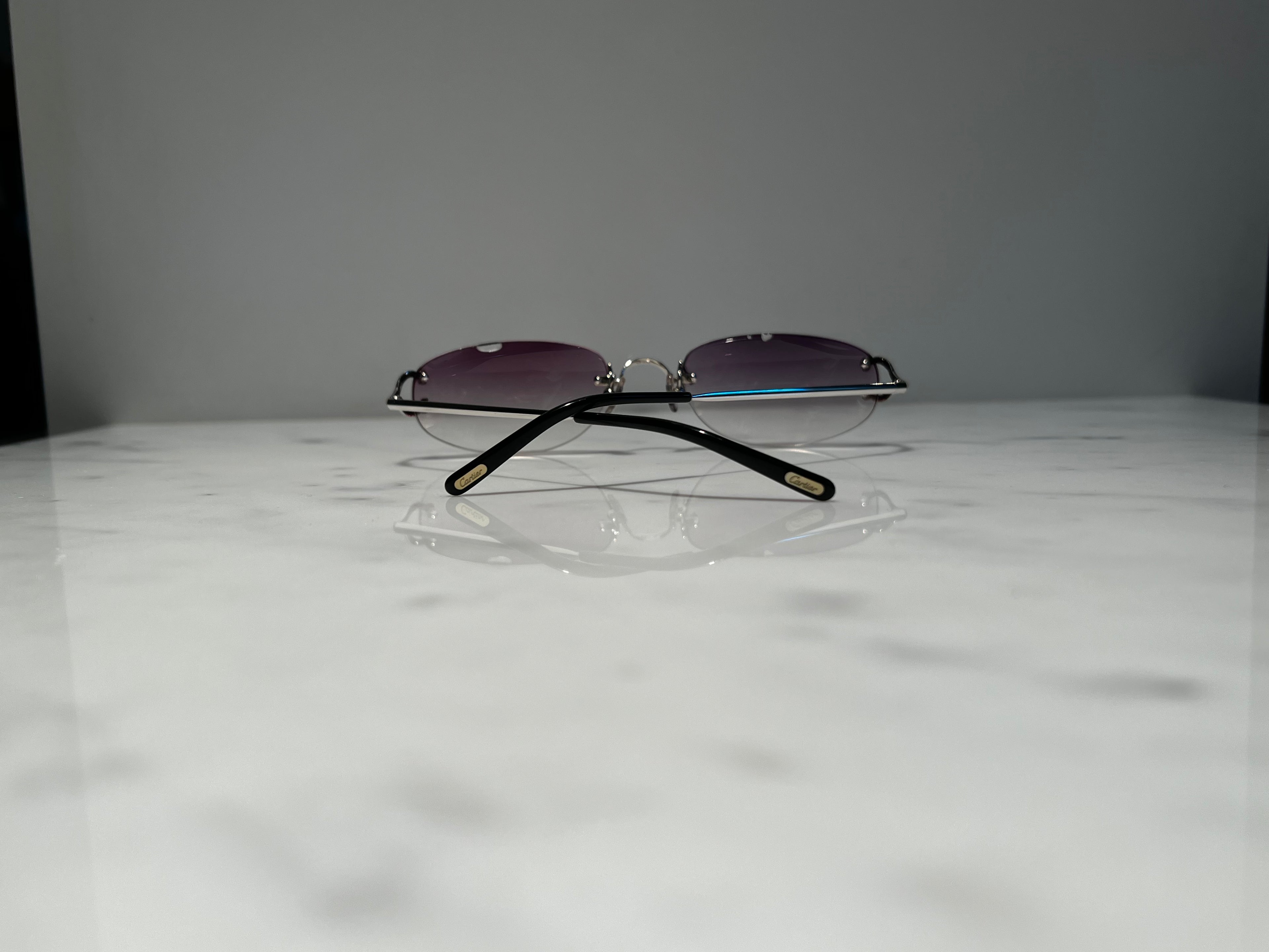 Cartier C’Decor Scala Wire Platinum Sunglasses Glasses